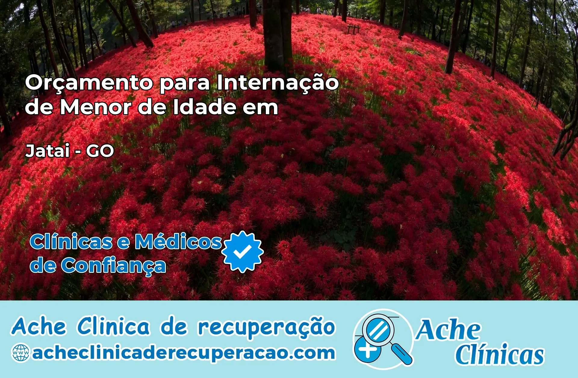 Internação de Menor de Idade em Jataí – GO