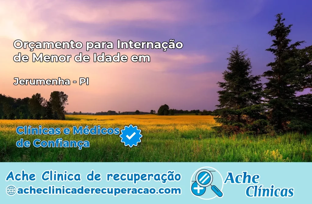 Internação de Menor de Idade em Jerumenha – PI