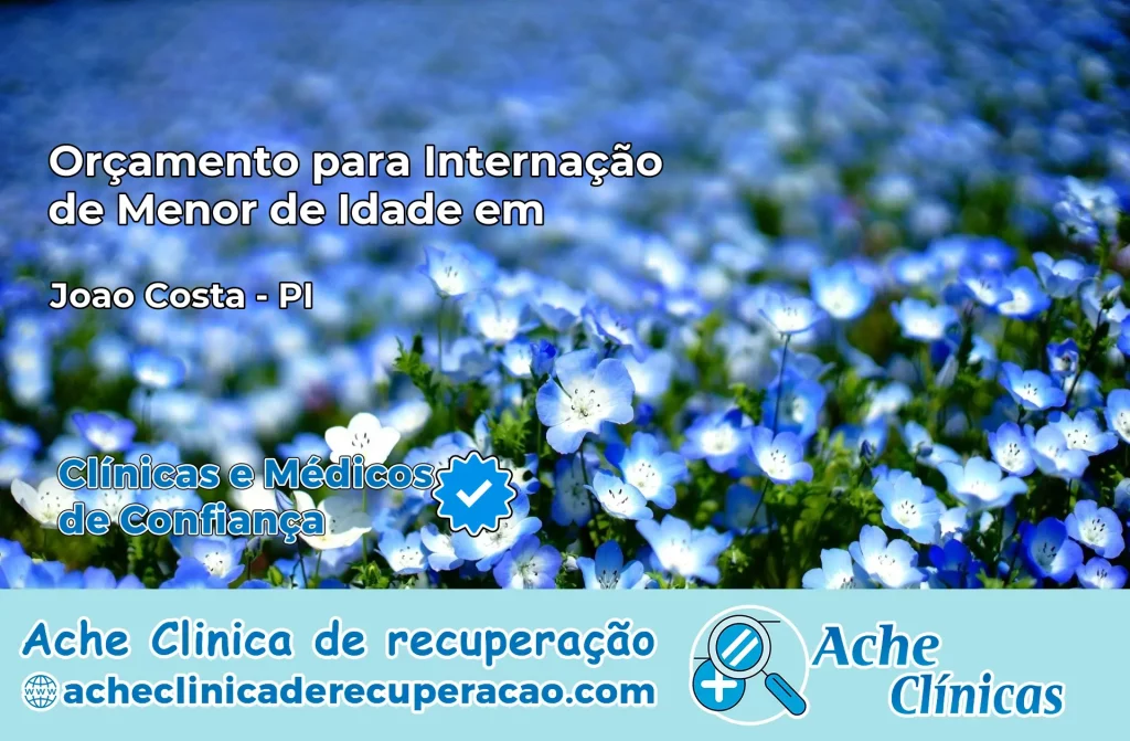 Internação de Menor de Idade em João Costa – PI