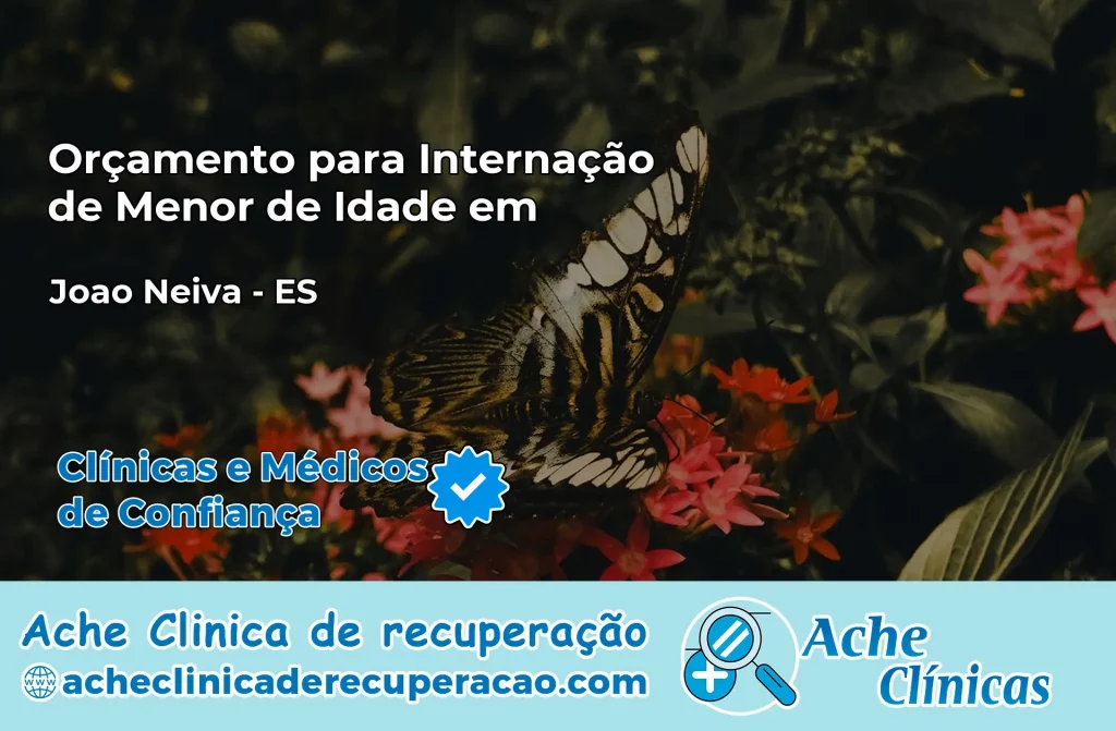 Internação de Menor de Idade em João Neiva – ES