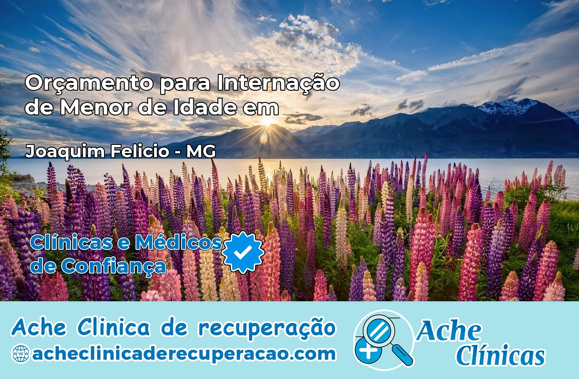 Internação de Menor de Idade em Joaquim Felício – MG