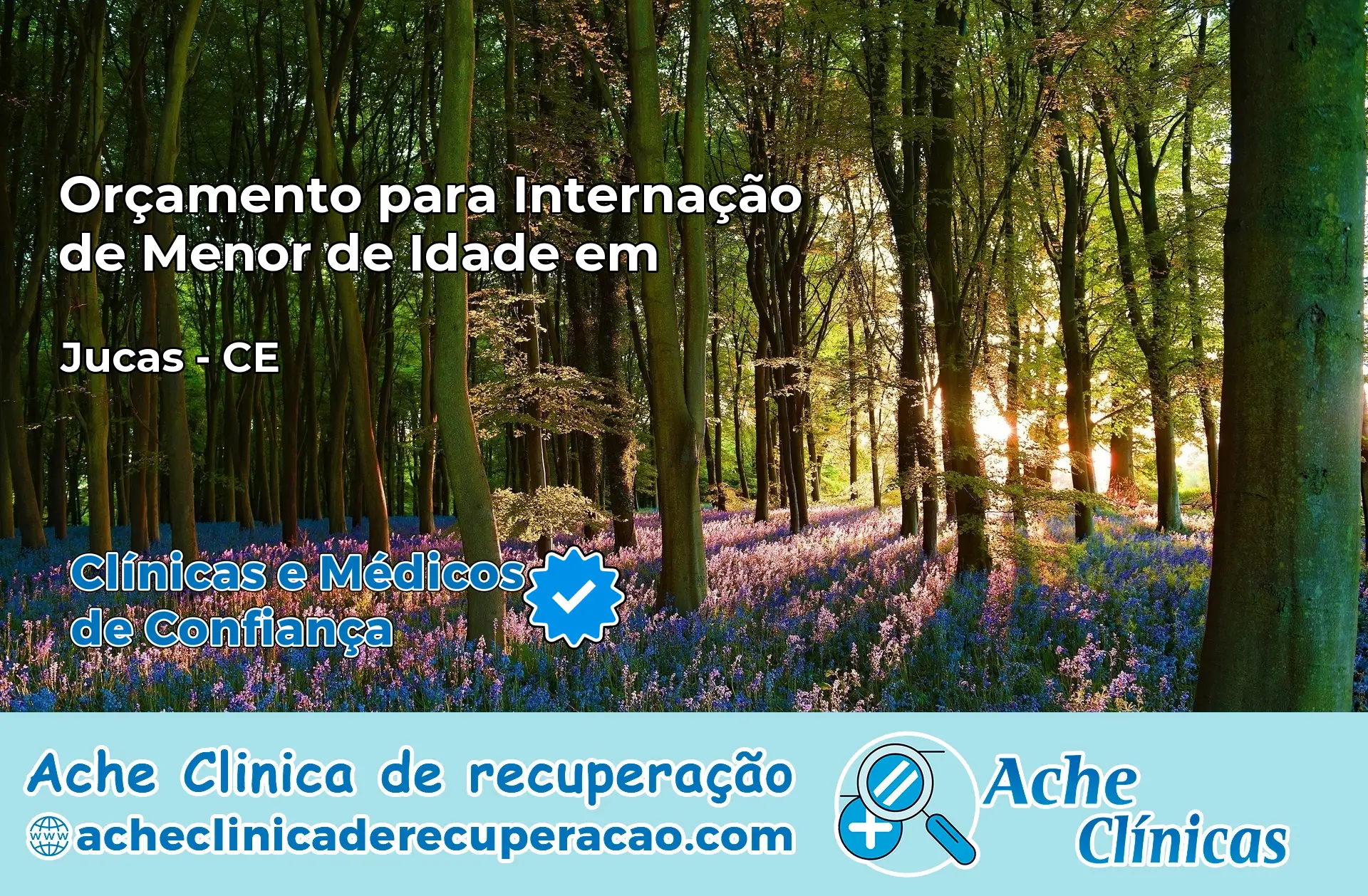 Internação de Menor de Idade em Jucás – CE