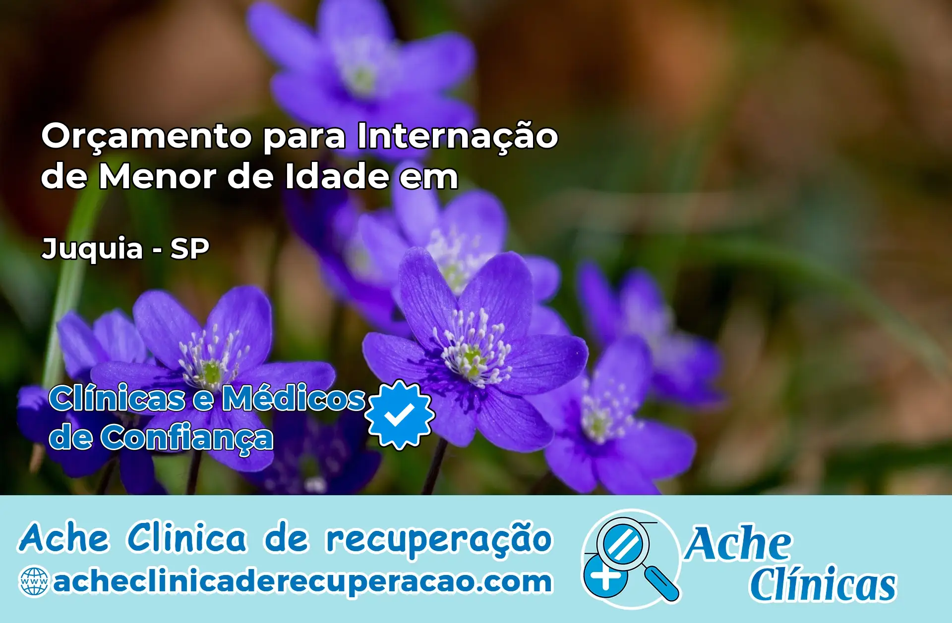 Internação de Menor de Idade em Juquiá – SP