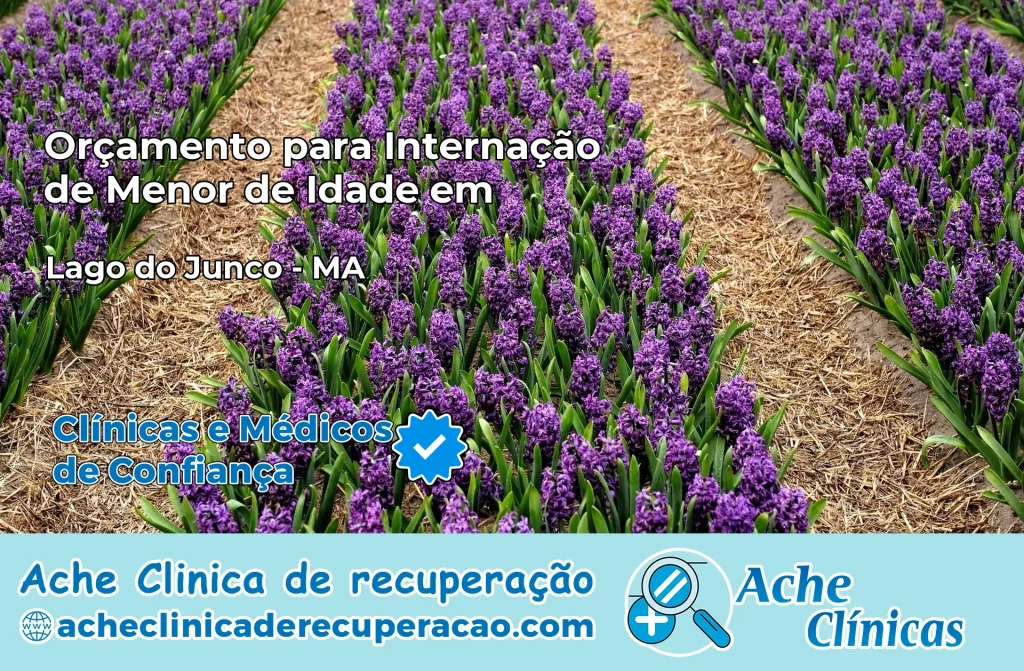 Internação de Menor de Idade em Lago do Junco – MA