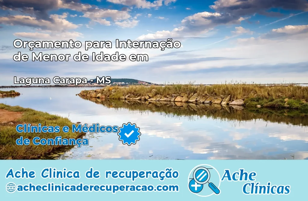 Internação de Menor de Idade em Laguna Carapã – MS