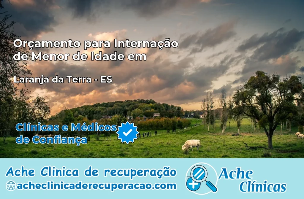 Internação de Menor de Idade em Laranja da Terra – ES