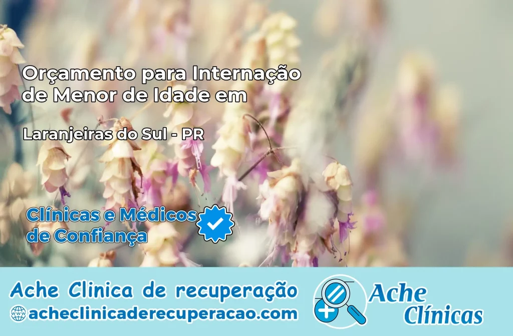 Internação de Menor de Idade em Laranjeiras do Sul – PR