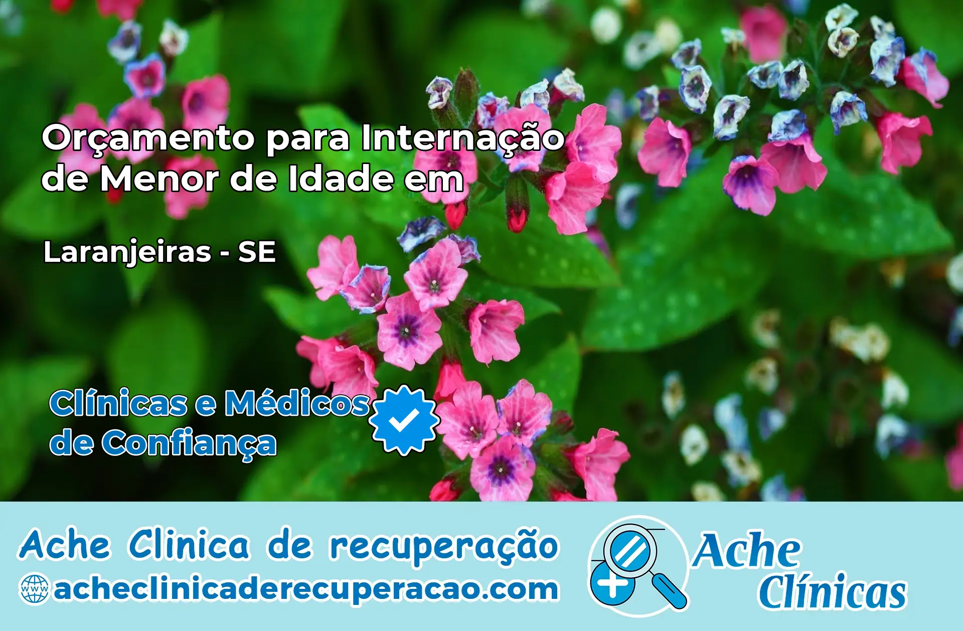 Internação de Menor de Idade em Laranjeiras – SE