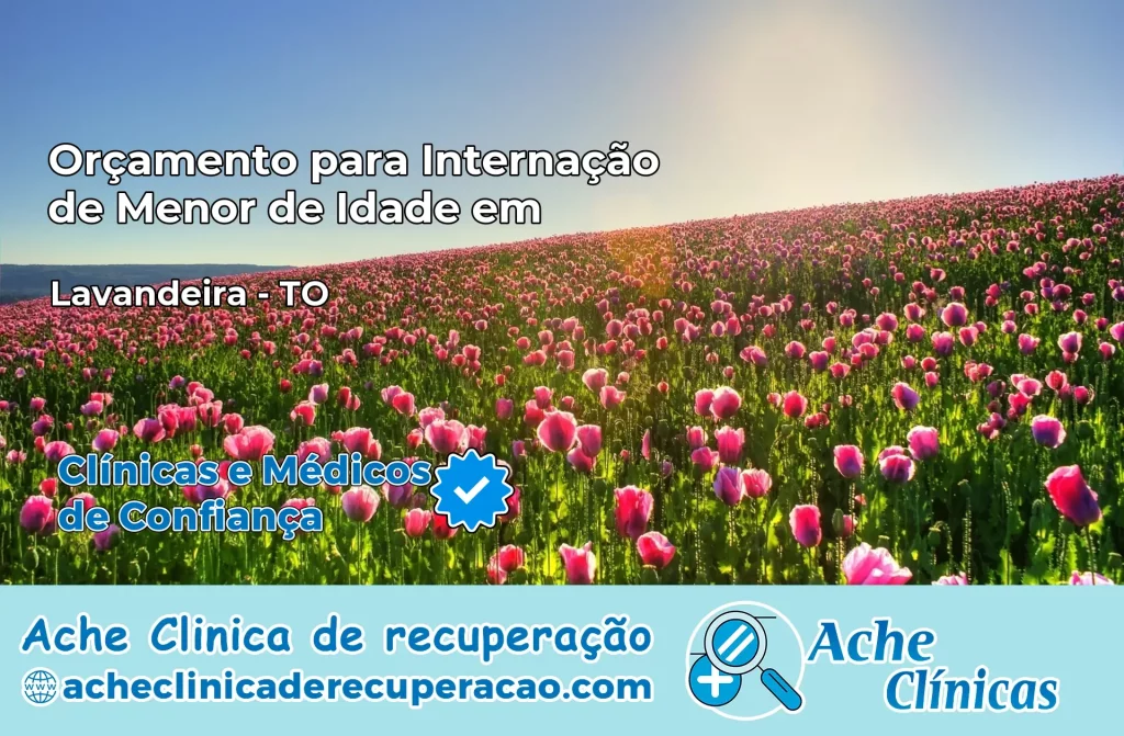 Internação de Menor de Idade em Lavandeira – TO
