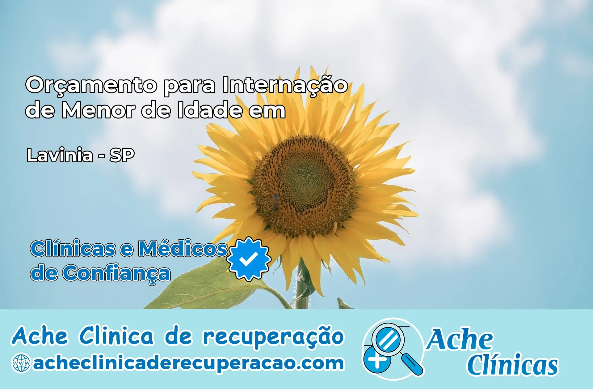 Internação de Menor de Idade em Lavínia – SP