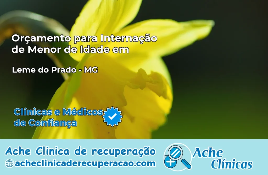Internação de Menor de Idade em Leme do Prado – MG
