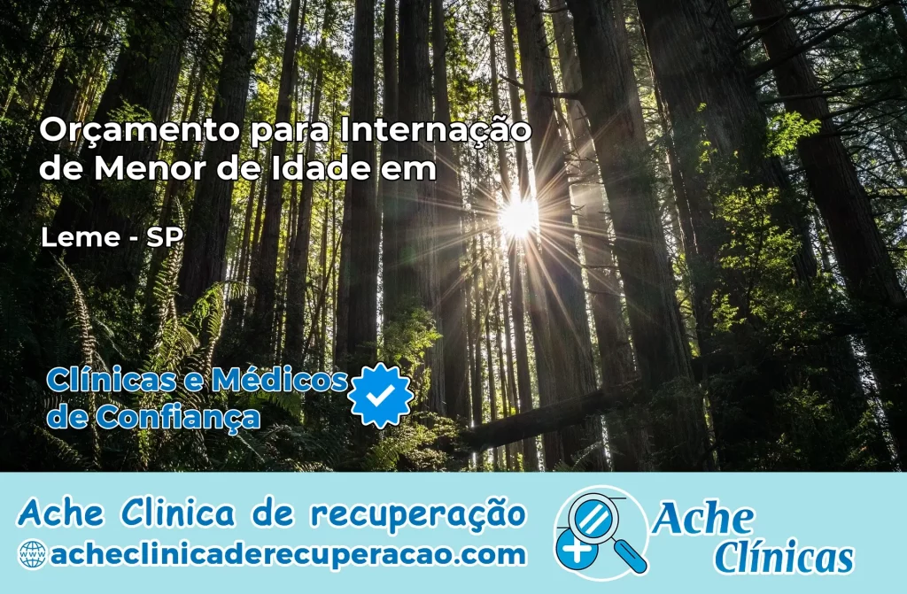 Internação de Menor de Idade em Leme – SP