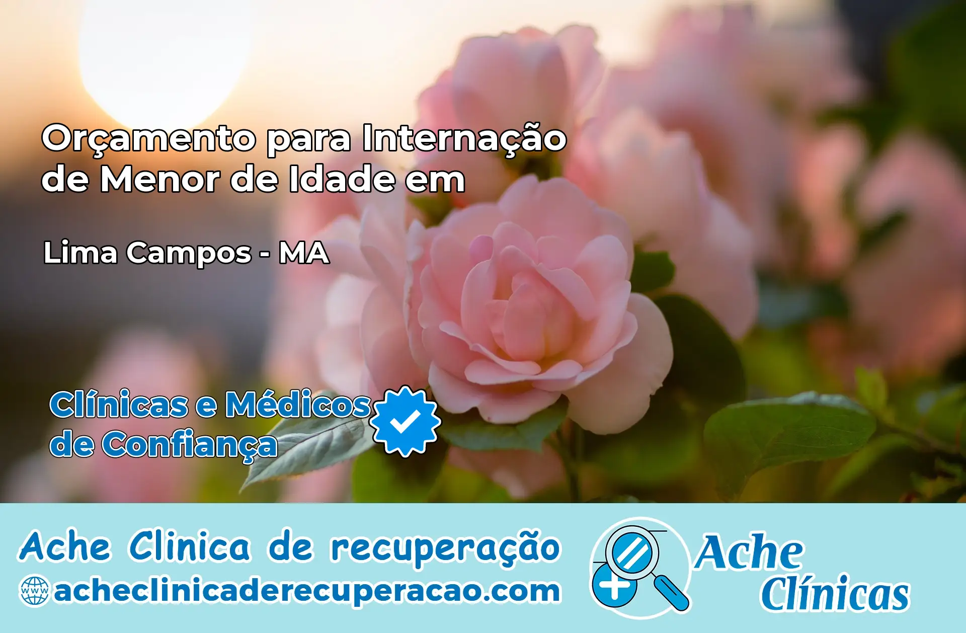 Internação de Menor de Idade em Lima Campos – MA