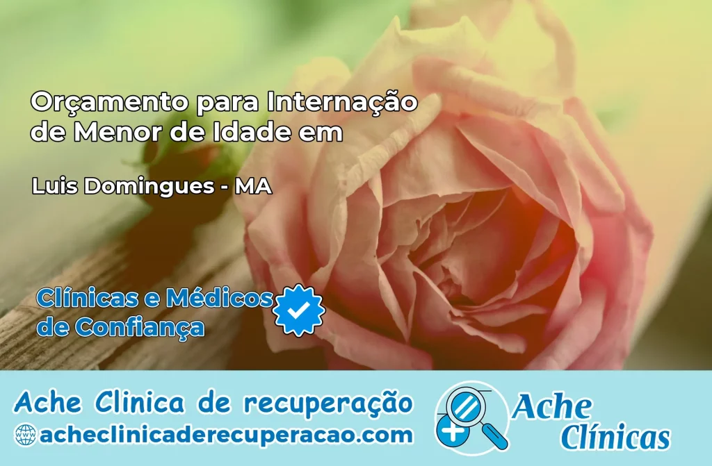 Internação de Menor de Idade em Luís Domingues – MA