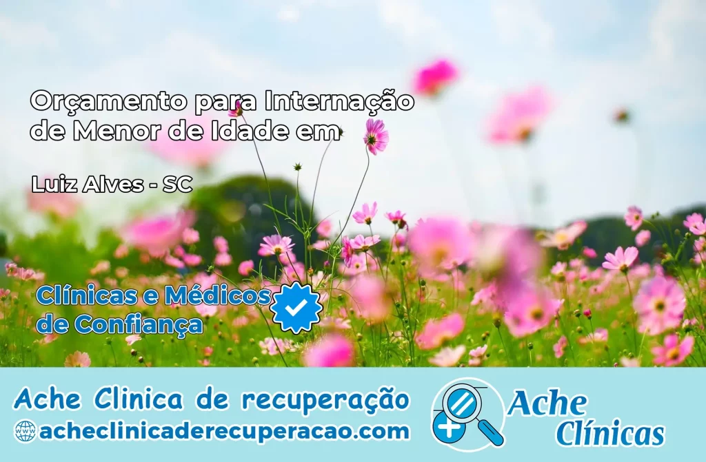 Internação de Menor de Idade em Luiz Alves – SC
