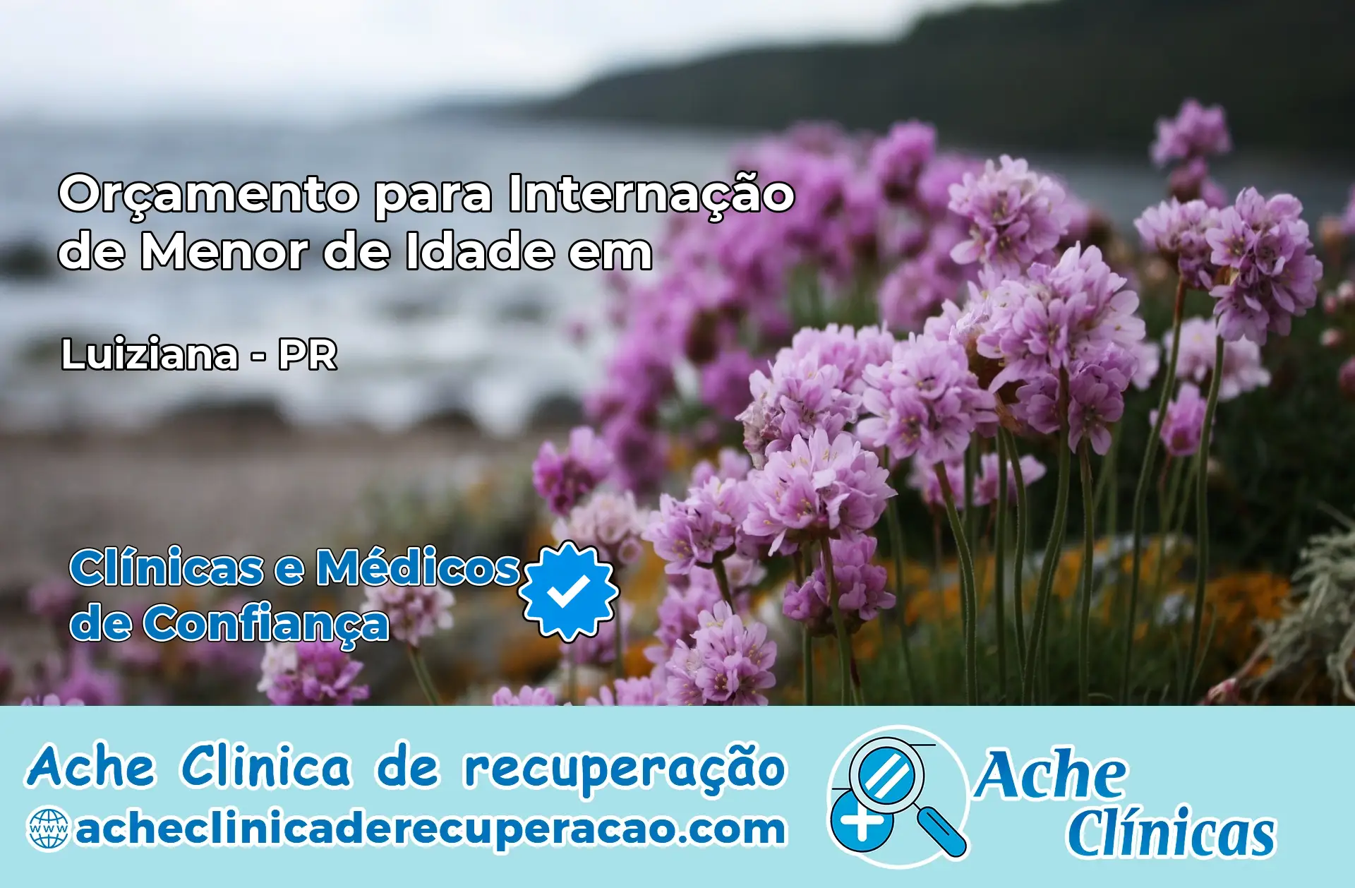 Internação de Menor de Idade em Luiziana – PR
