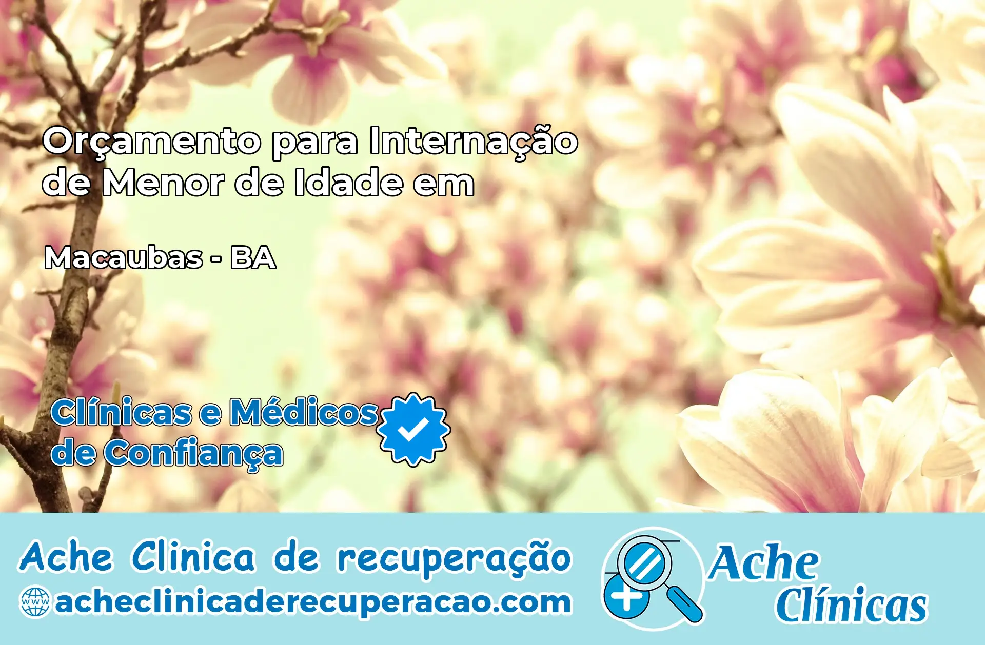 Internação de Menor de Idade em Macaúbas – BA