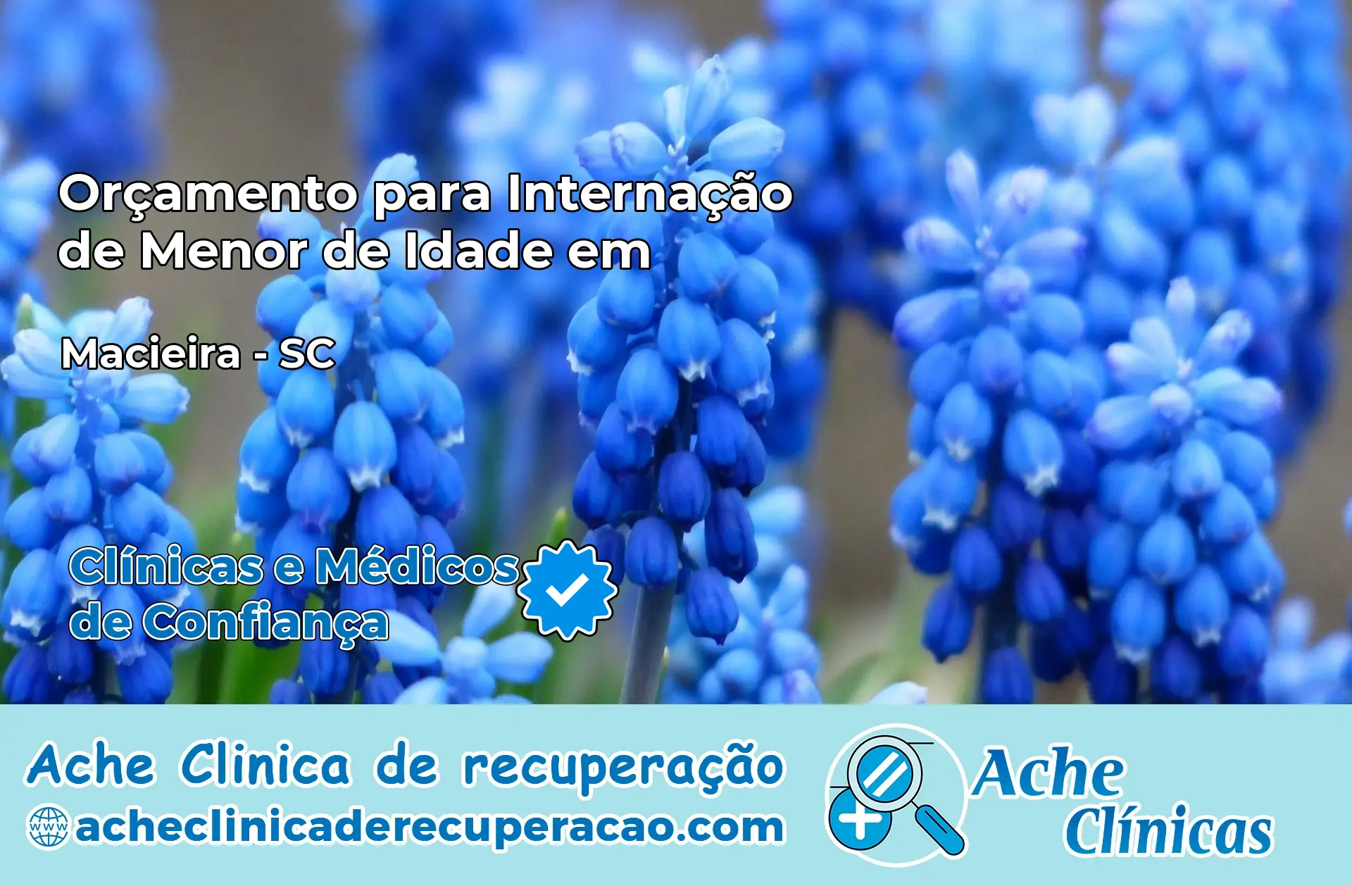 Internação de Menor de Idade em Macieira – SC