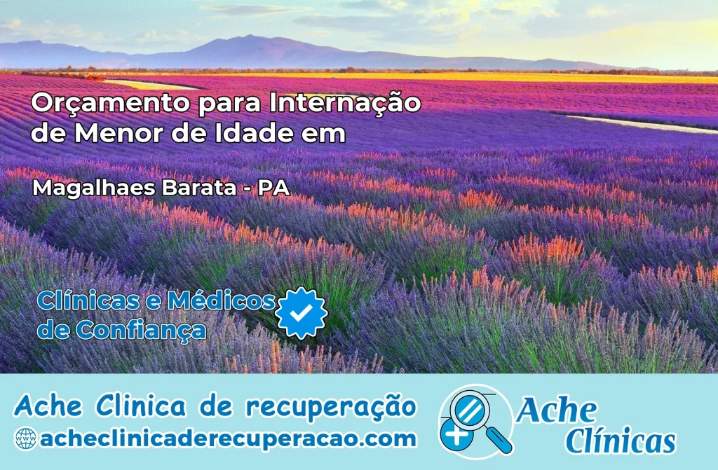 Internação de Menor de Idade em Magalhães Barata – PA