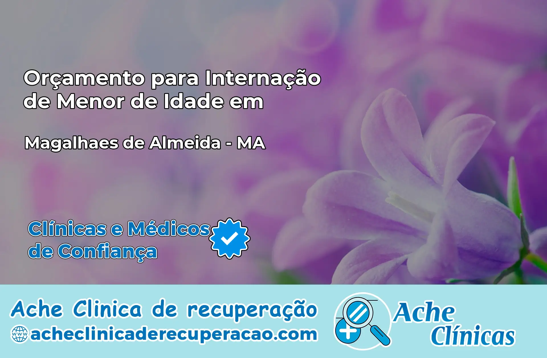 Internação de Menor de Idade em Magalhães de Almeida – MA
