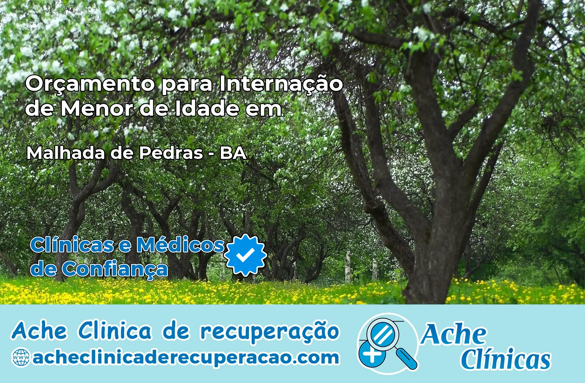 Internação de Menor de Idade em Malhada de Pedras – BA