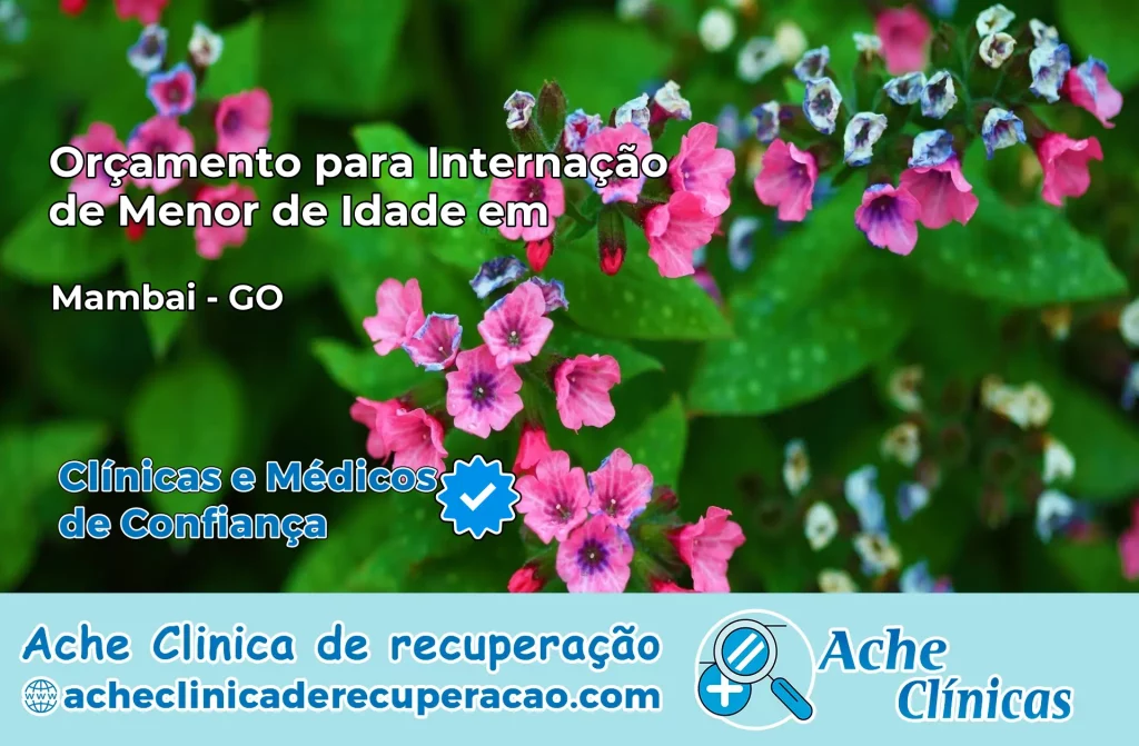 Internação de Menor de Idade em Mambaí – GO