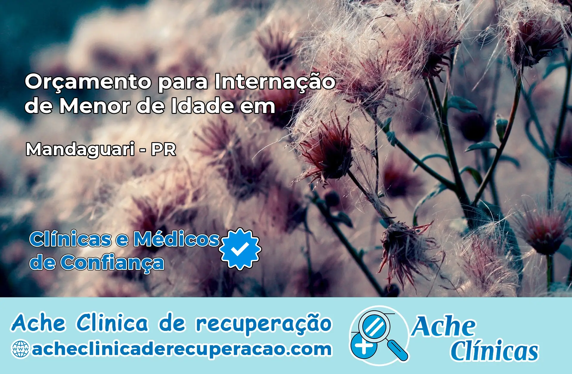 Internação de Menor de Idade em Mandaguari – PR