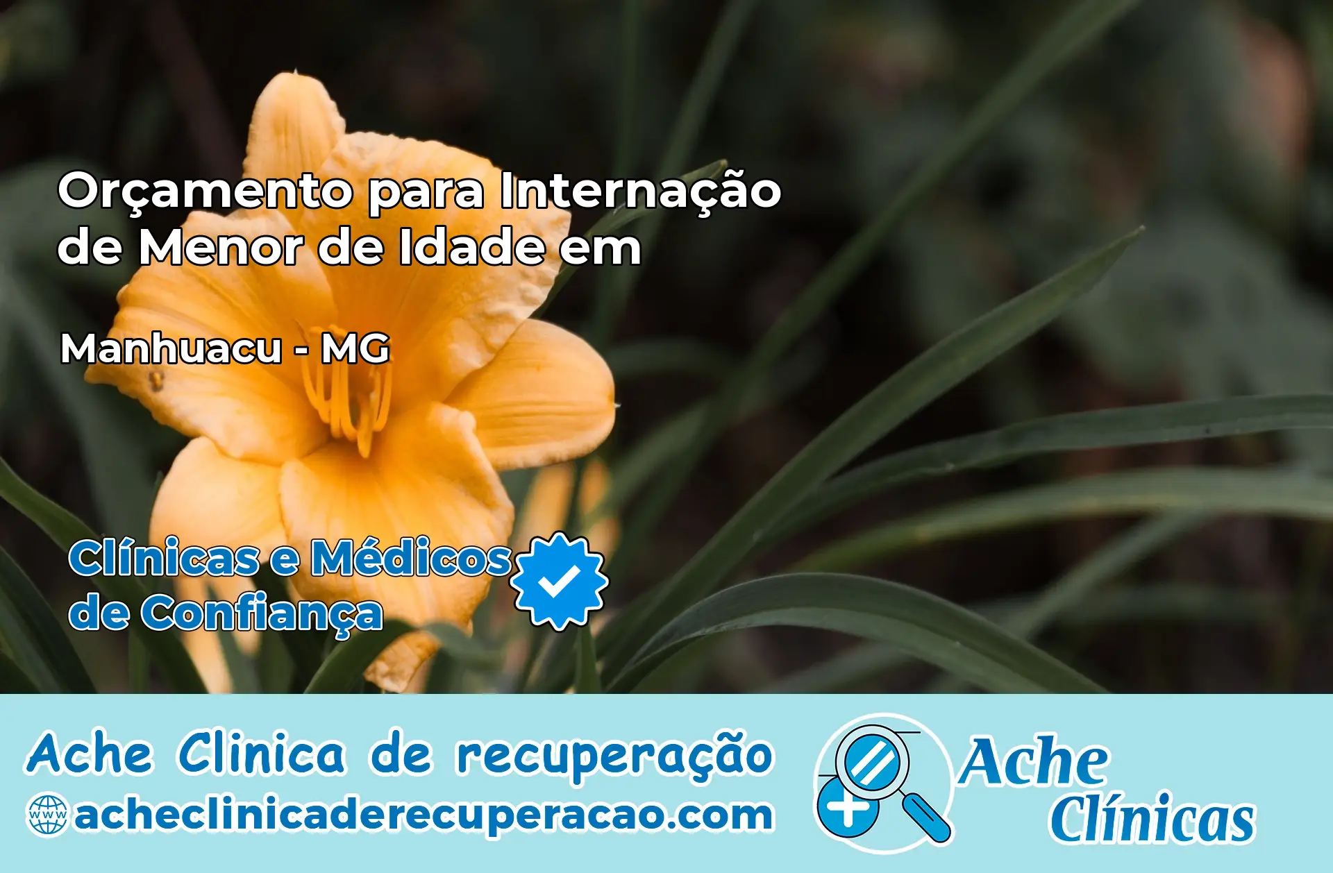 Internação de Menor de Idade em Manhuaçu – MG