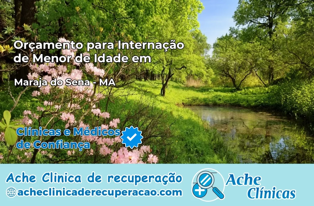 Internação de Menor de Idade em Marajá do Sena – MA