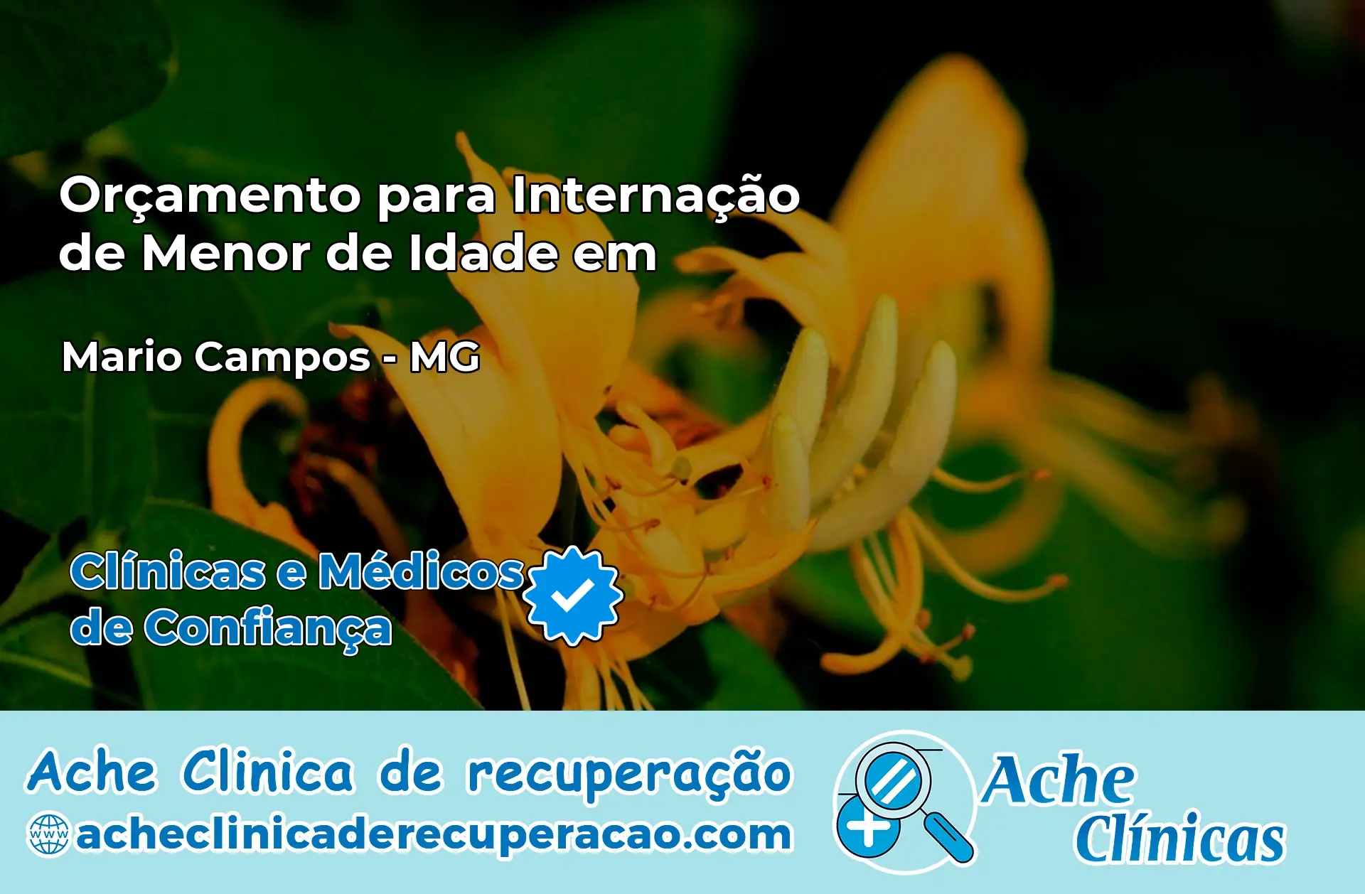 Internação de Menor de Idade em Mário Campos – MG