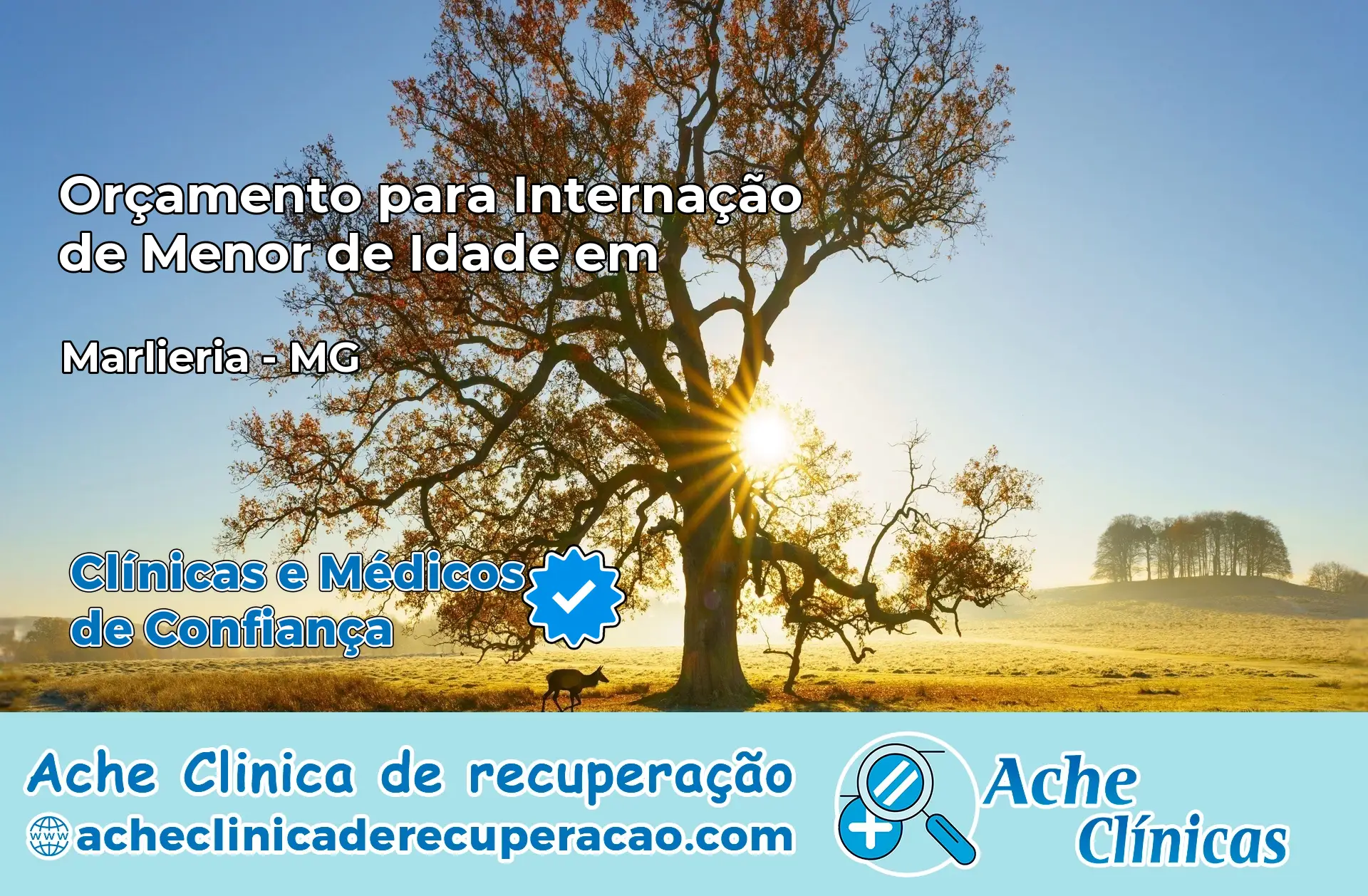 Internação de Menor de Idade em Marliéria – MG