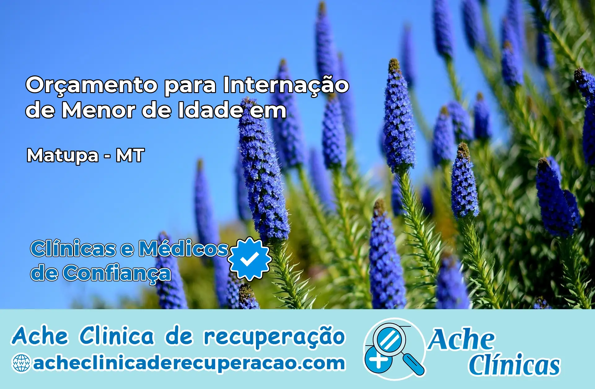 Internação de Menor de Idade em Matupá – MT
