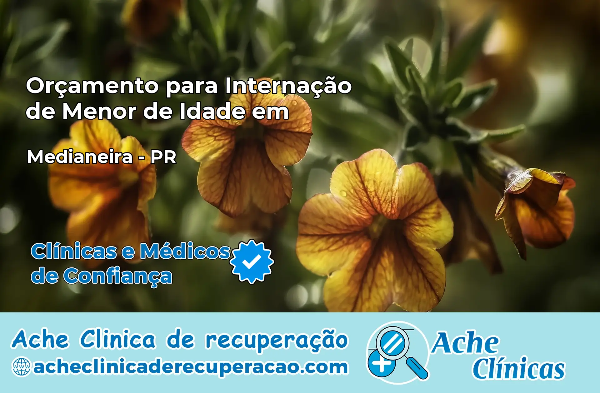 Internação de Menor de Idade em Medianeira – PR