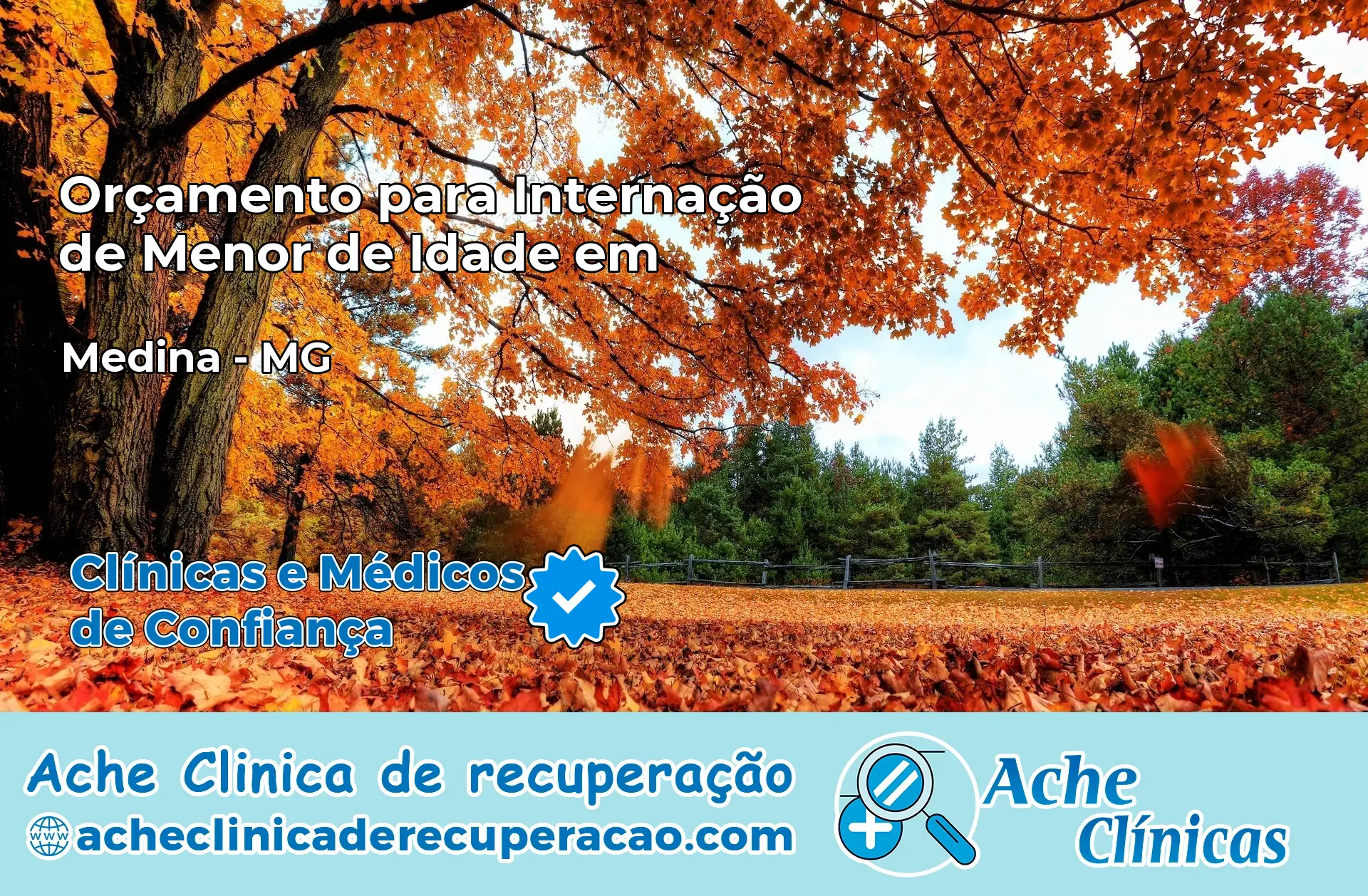 Internação de Menor de Idade em Medina – MG