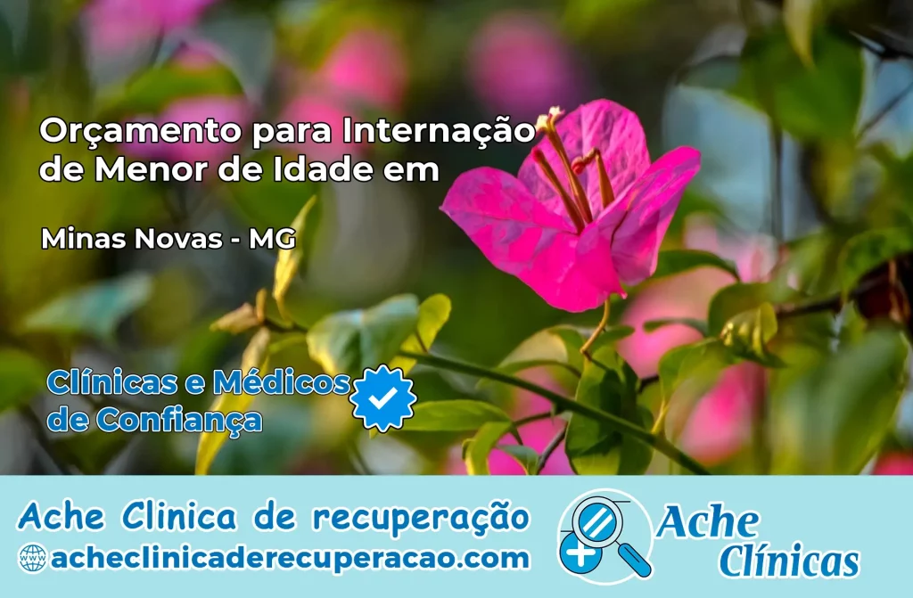Internação de Menor de Idade em Minas Novas – MG