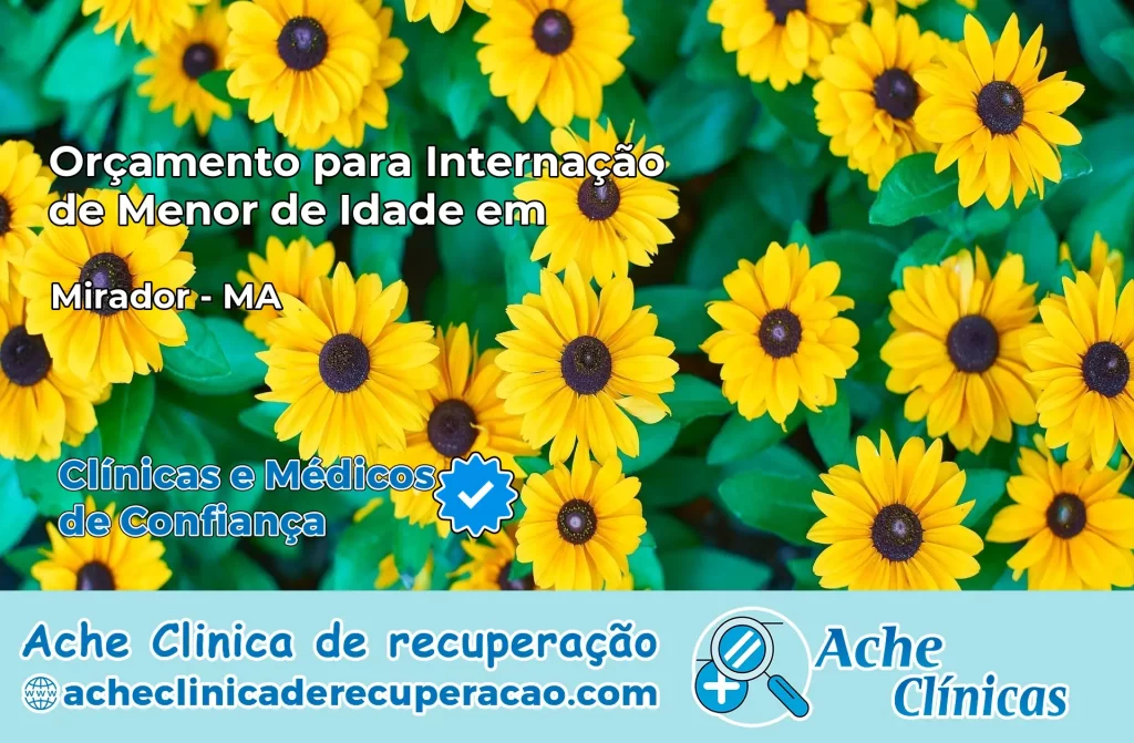 Internação de Menor de Idade em Mirador – MA