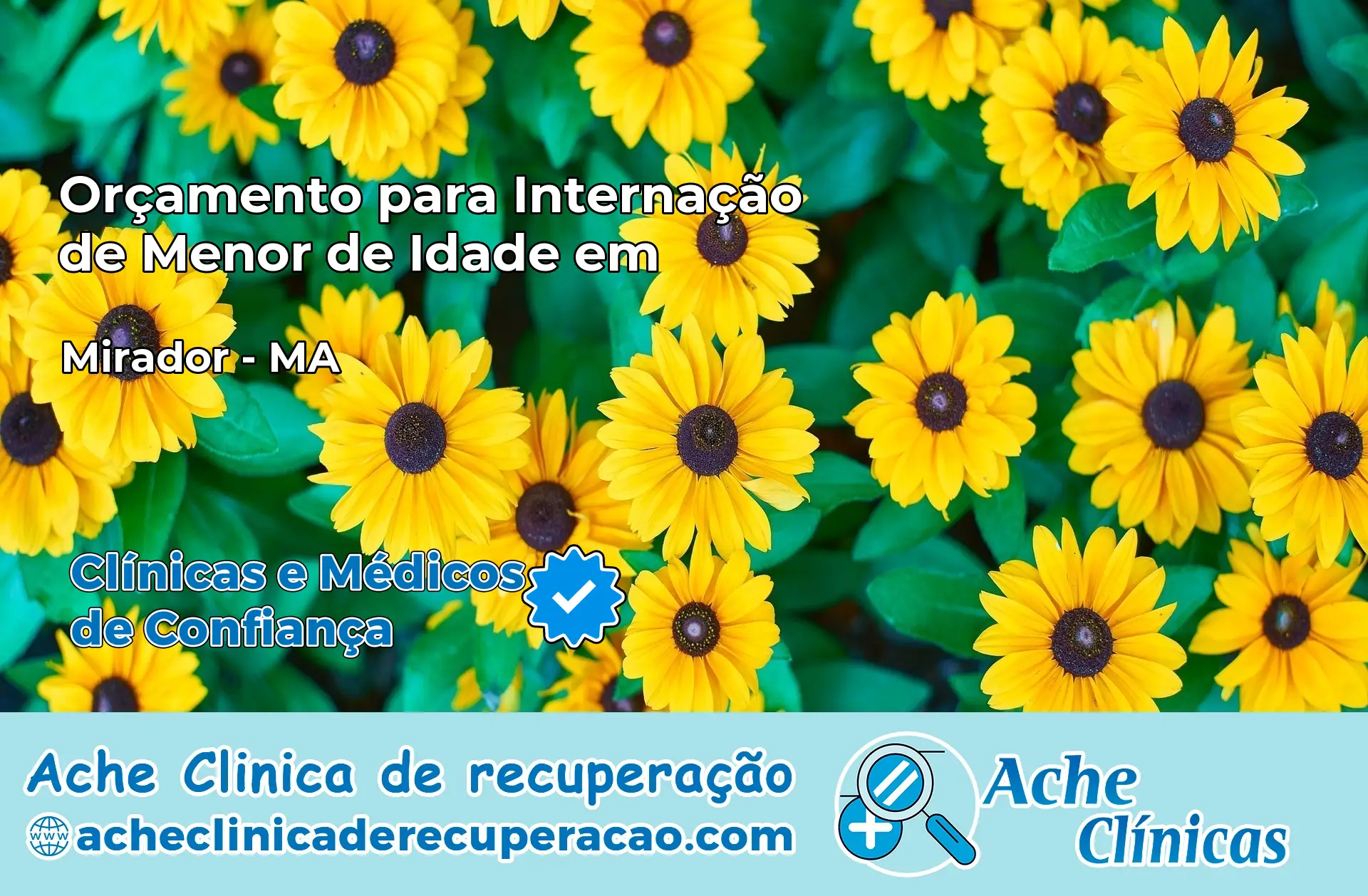Internação de Menor de Idade em Mirador – MA