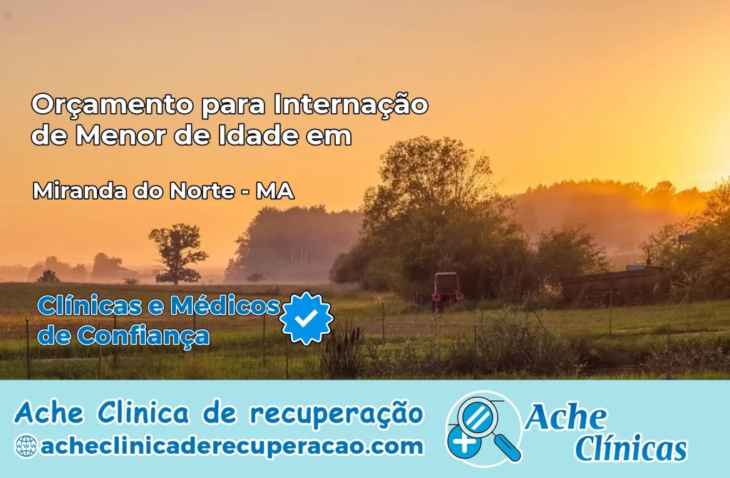 Internação de Menor de Idade em Miranda do Norte – MA
