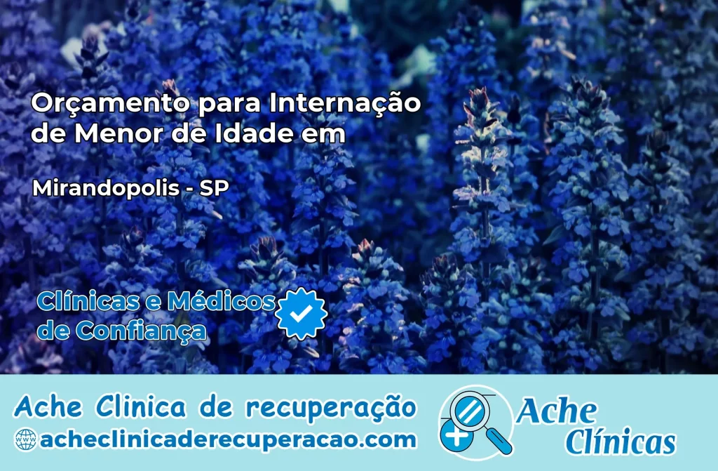 Internação de Menor de Idade em Mirandópolis – SP