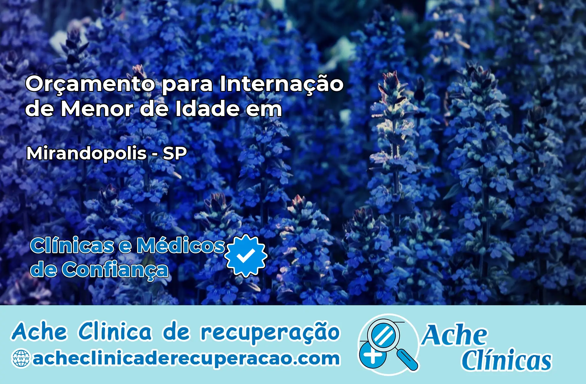 Internação de Menor de Idade em Mirandópolis – SP