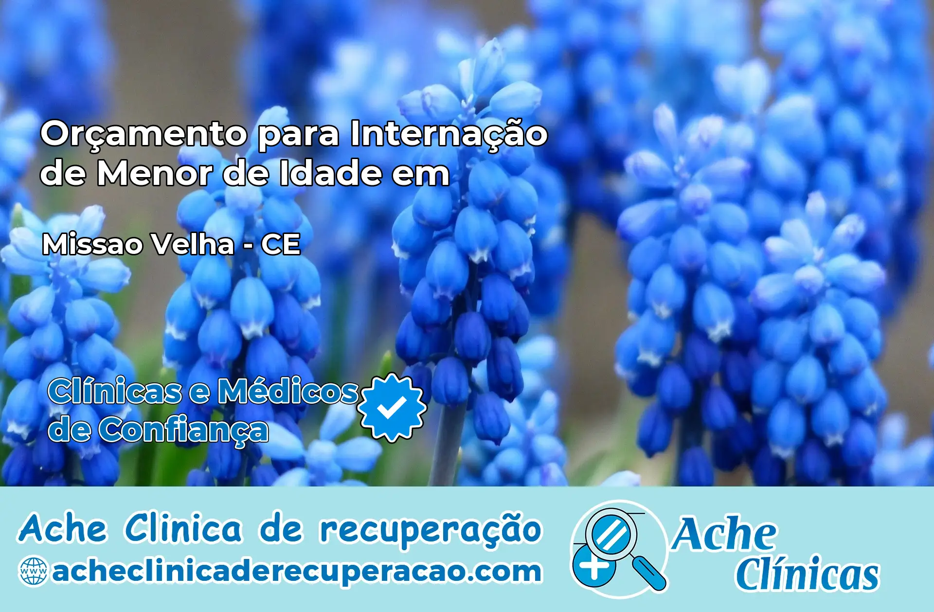 Internação de Menor de Idade em Missão Velha – CE