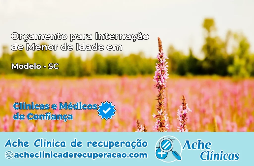 Internação de Menor de Idade em Modelo – SC
