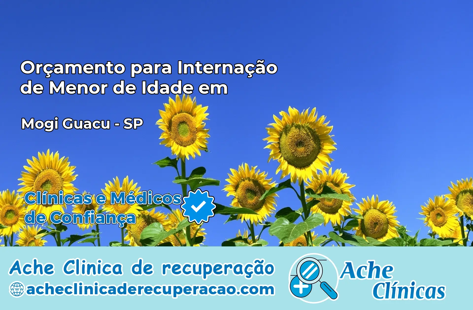 Internação de Menor de Idade em Mogi Guaçu – SP
