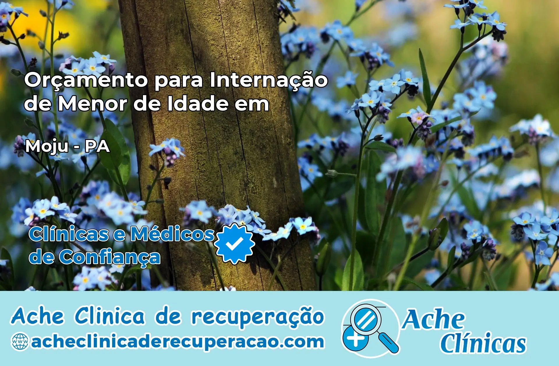 Internação de Menor de Idade em Moju – PA