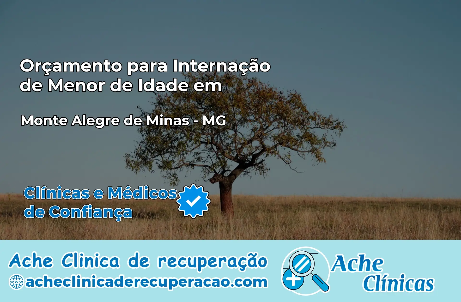 Internação de Menor de Idade em Monte Alegre de Minas – MG