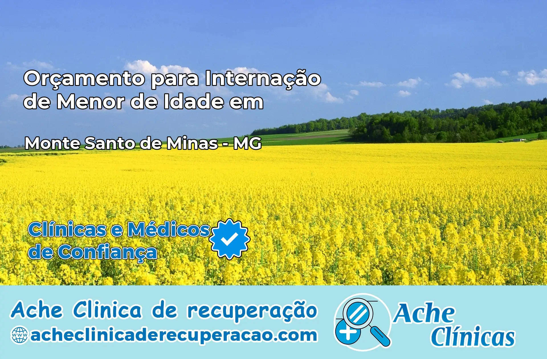 Internação de Menor de Idade em Monte Santo de Minas – MG