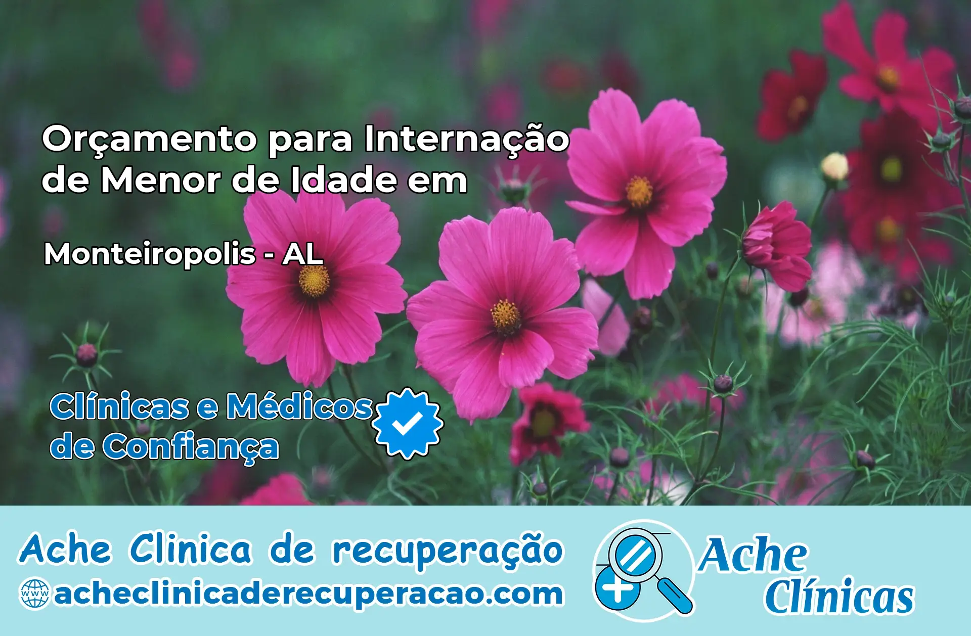 Internação de Menor de Idade em Monteirópolis – AL