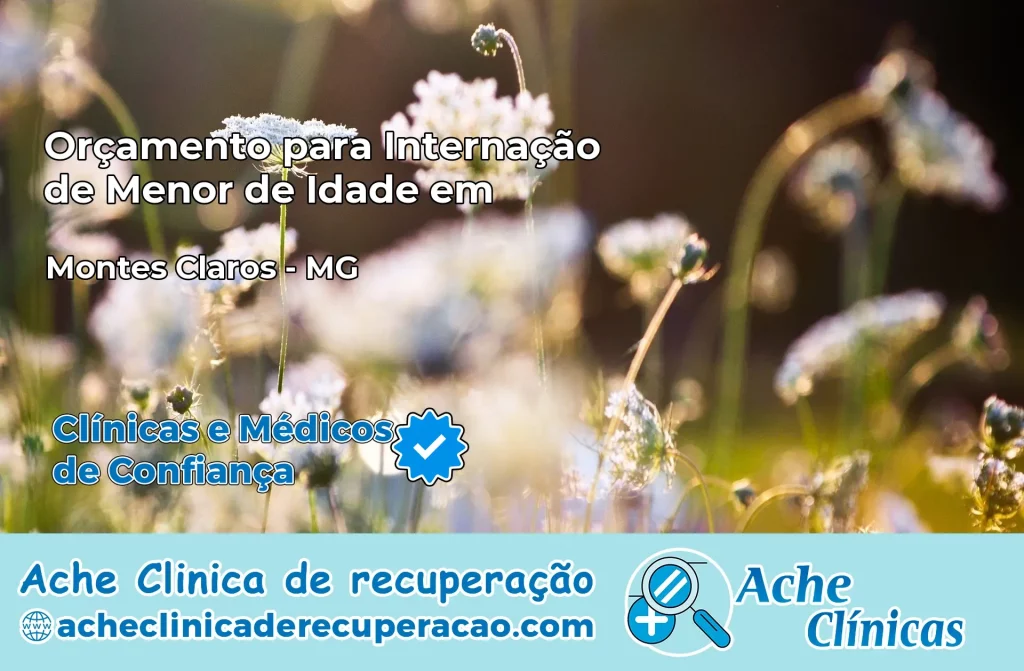 Internação de Menor de Idade em Montes Claros – MG
