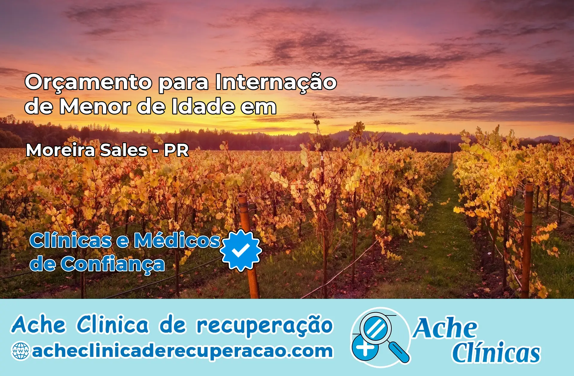 Internação de Menor de Idade em Moreira Sales – PR