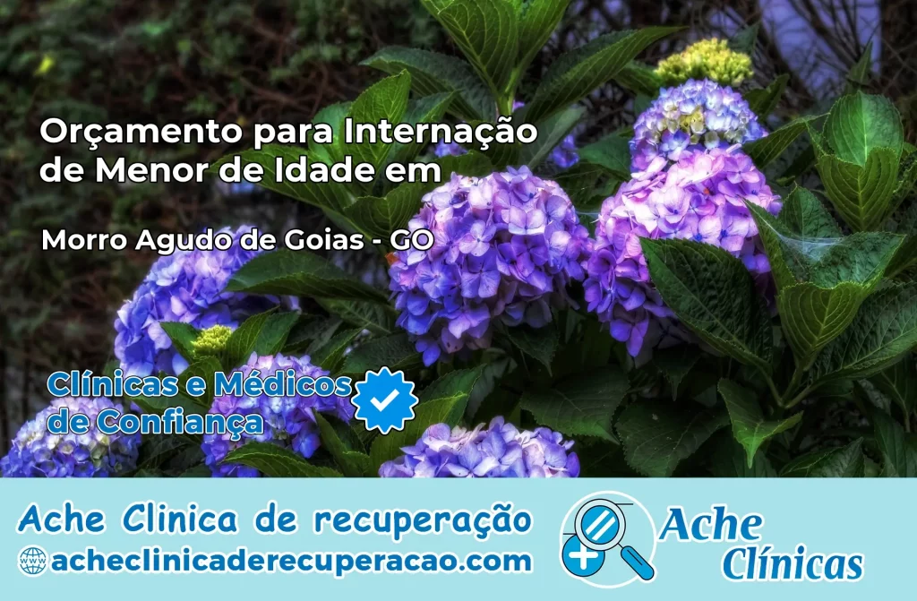 Internação de Menor de Idade em Morro Agudo de Goiás – GO